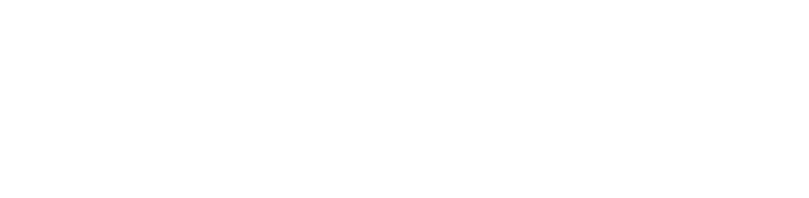 valicor-logo